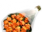 20 Oranzi roosi kimbus